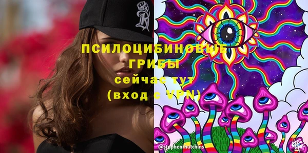 jwh Новокубанск