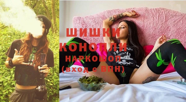 Альфа ПВП Новодвинск