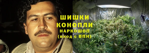 Альфа ПВП Новодвинск