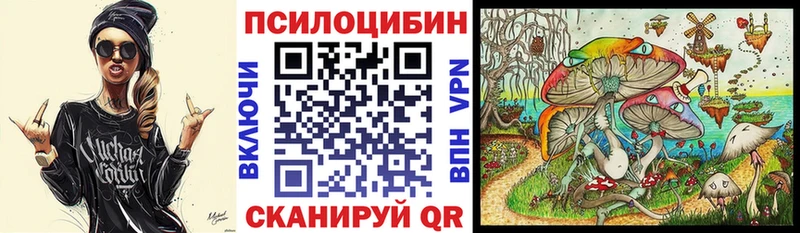 Псилоцибиновые грибы Cubensis  как найти закладки  Нея 
